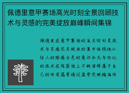 佩德里意甲赛场高光时刻全景回顾技术与灵感的完美绽放巅峰瞬间集锦